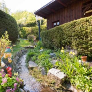 Prodej zahrady 1133 m² Větřní