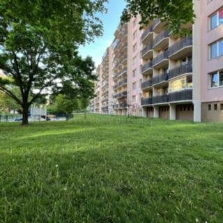 Pronájem bytu 1+1 33 m² Prostějov, Libušinka