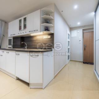 Pronájem bytu 1+1 42 m² Louny