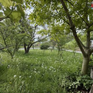 Prodej stavební parcely 856 m² Studénka