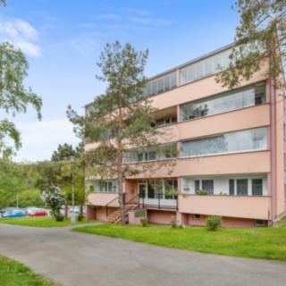 Prodej bytu 1+1 28 m² Slaný, Všehlušická