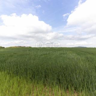 Prodej zemědělské půdy 10 902 m² Miskovice