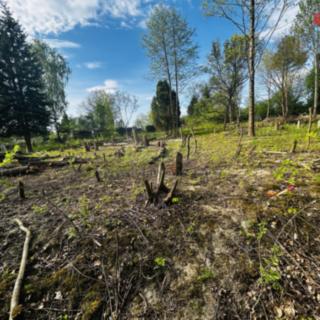 Prodej stavební parcely 830 m² Orlová, Bezručova