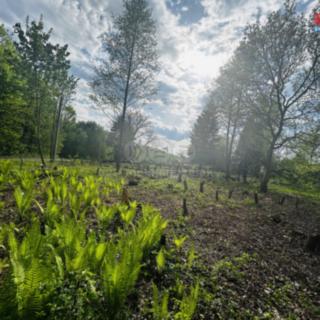 Prodej stavební parcely 830 m² Orlová, Bezručova