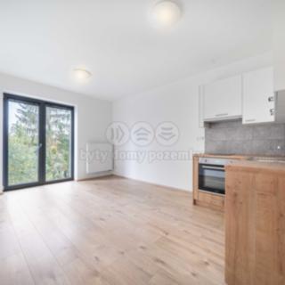 Pronájem bytu 1+kk, garsoniery 32 m² Třemošná