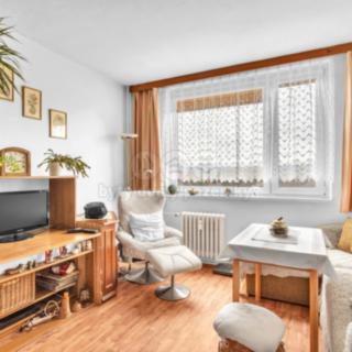Prodej bytu 1+1 35 m² Dvůr Králové nad Labem, Nad Parkem