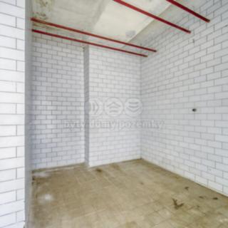 Pronájem skladu 7 m² Plzeň, Sousedská