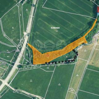 Prodej louky 8 600 m² Bavorov