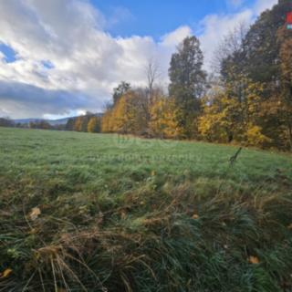 Prodej zemědělské půdy 3 616 m² Vrbno pod Pradědem