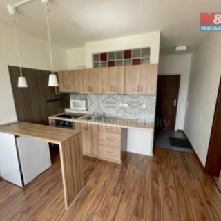 Pronájem bytu 1+1 36 m² Sokolov