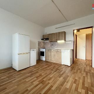 Pronájem bytu 1+1 35 m² Klášterec nad Ohří, Pionýrů