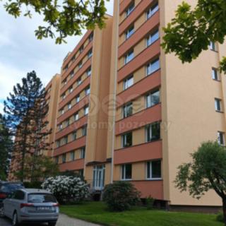 Prodej bytu 1+kk, garsoniery 25 m² Liberec