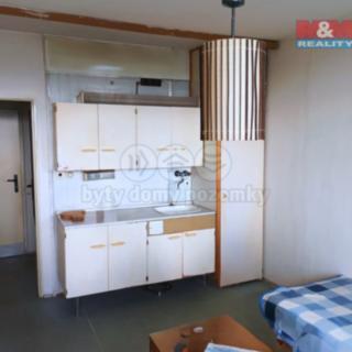 Prodej bytu 1+kk a garsoniéry 25 m² Liberec, Březová alej