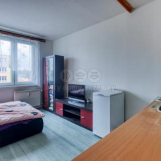 Prodej bytu 1+kk a garsoniéry 20 m² Nové Sedlo, Sadová