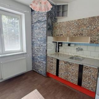 Prodej bytu 2+1 55 m² Rýmařov, Cihlová