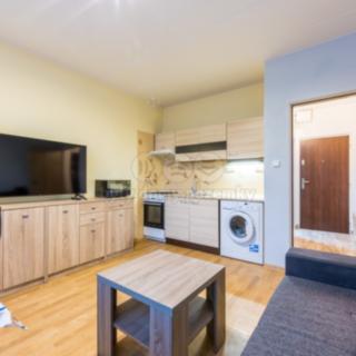 Pronájem bytu 1+1 34 m² Nová Role