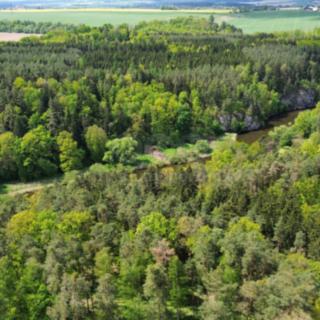 Prodej lesa 79 857 m² Černýšovice