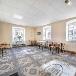 Pronájem skladu 124 m² Nepomuk