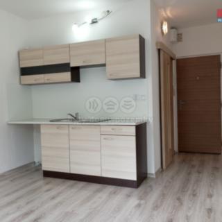 Pronájem bytu 1+1 36 m² Chomutov, Kamenná