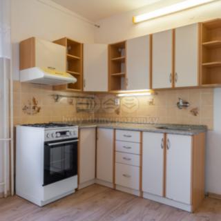 Prodej bytu 1+1 44 m² Brno