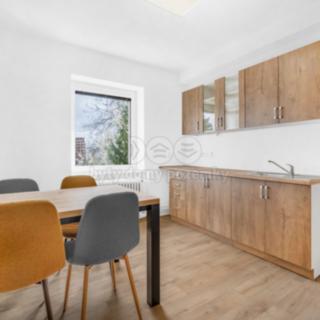 Pronájem bytu 1+kk, garsoniery 23 m² Plazy