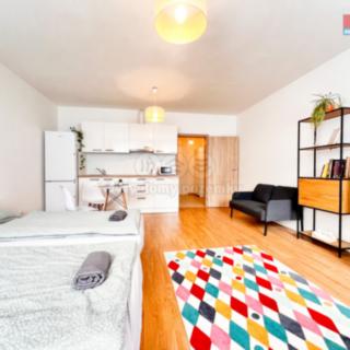Prodej bytu 1+kk a garsoniéry 36 m² Svitavy, Říční