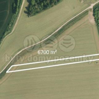 Prodej zemědělské půdy 6700 m² Tištín