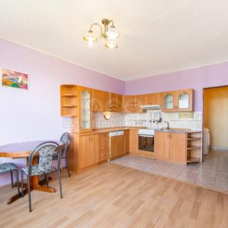 Pronájem bytu 1+1 47 m² Plzeň