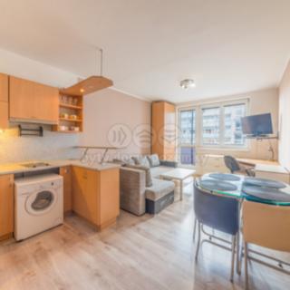 Pronájem bytu 1+kk, garsoniery 24 m² Ostrava