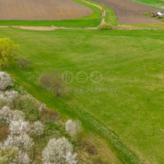 Prodej zemědělské půdy 1 837 m² Staré Město
