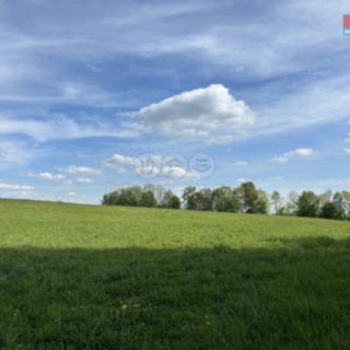 Prodej zemědělské půdy 6 070 m² Jestřabí v Krkonoších