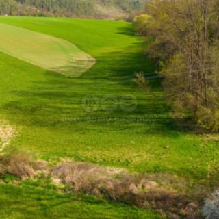 Prodej zemědělské půdy 4 100 m² Bílá Lhota
