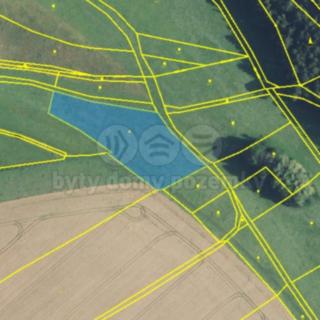 Prodej louky 10 562 m² Nová Ves u Jarošova