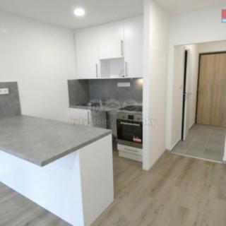Prodej bytu 1+kk a garsoniéry 31 m² Ostrava, Petruškova