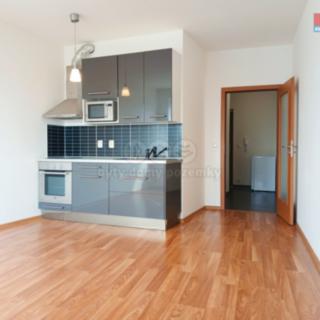 Pronájem bytu 1+kk, garsoniery 35 m² Opava