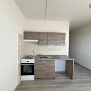 Pronájem bytu 1+1 40 m² Jirkov