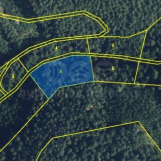 Prodej lesa 5 021 m² Proseč