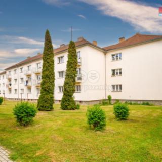 Prodej bytu 3+1 65 m² Týnec nad Sázavou, Družstevní