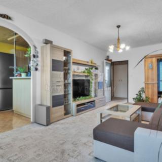 Prodej bytu 3+1 68 m² Rakovník, V Lukách