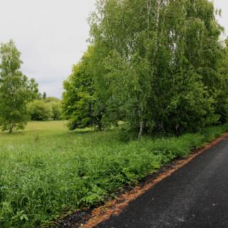 Prodej zahrady 1 273 m² Zruč nad Sázavou