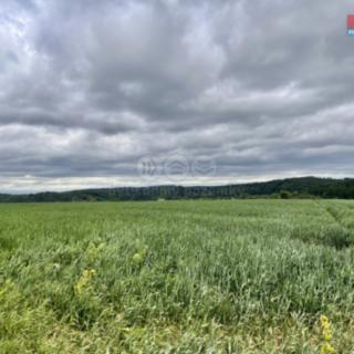 Prodej zemědělské půdy 22 965 m² Měcholupy