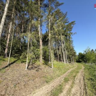 Prodej lesa 23 184 m² Milešov