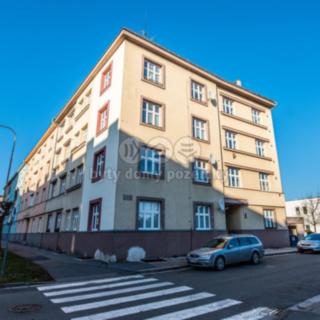 Pronájem bytu 1+1 33 m² Hradec Králové, Albertova