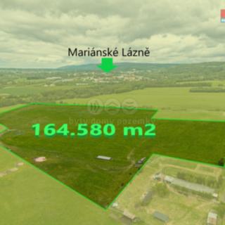 Prodej zemědělské půdy 164 580 m² Mariánské Lázně Stanoviště