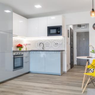 Prodej bytu 1+kk a garsoniéry 29 m² Ostrava Výškovice, Výškovická
