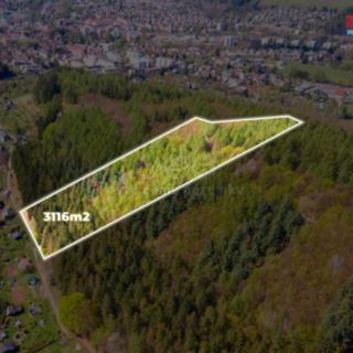 Prodej lesa 3 116 m² Trutnov