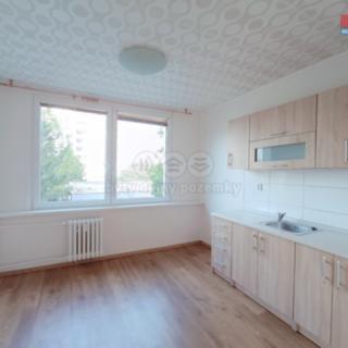 Pronájem bytu 1+1 41 m² Ústí nad Labem