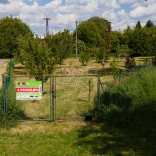 Pronájem zahrady 1 799 m² Zlín Prštné