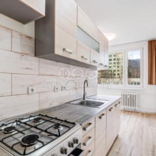 Pronájem bytu 2+1 63 m² Krupka, Karla Čapka