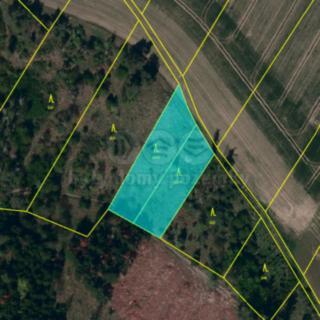 Prodej lesa 4 100 m² Střítež